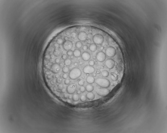 X0000113051432200910081222