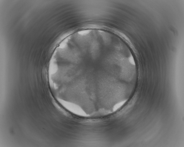 X0000113051433200910081222