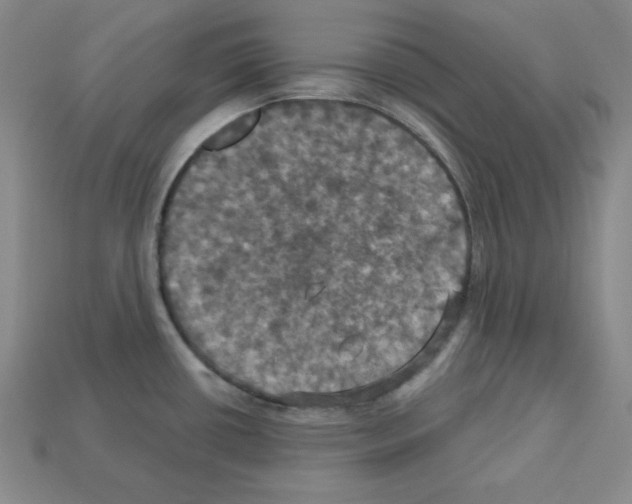 X0000113051434200910081222