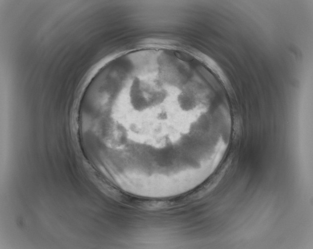 X0000113051435200910081222