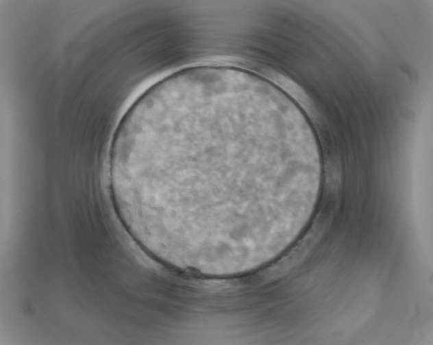X0000113051436200910081222