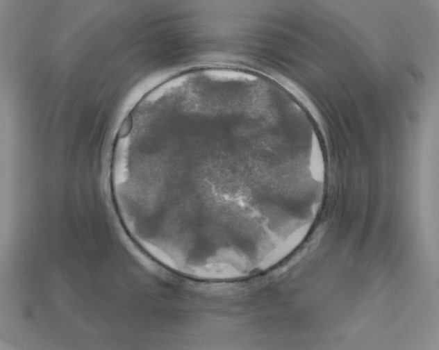 X0000113051437200910081222