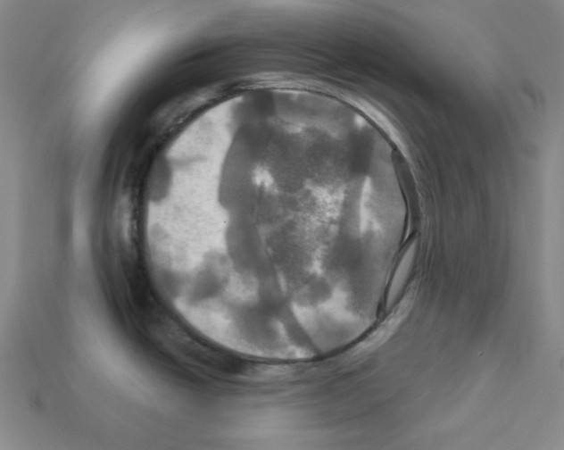 X0000113051438200910081222