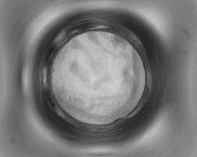 X0000113051439200910081222