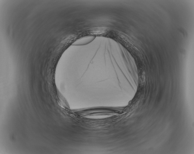 X0000113051441200910081222