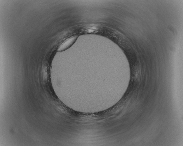 X0000113051442200910081222