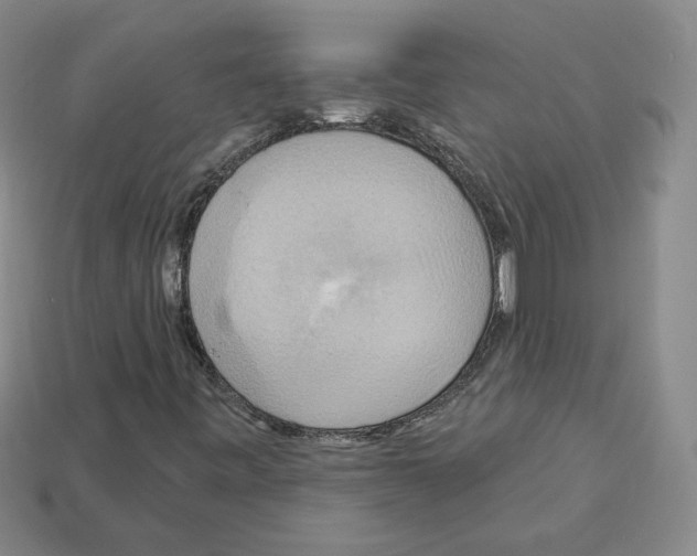 X0000113051443200910081222