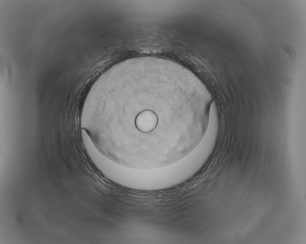 X0000113051444200910081222