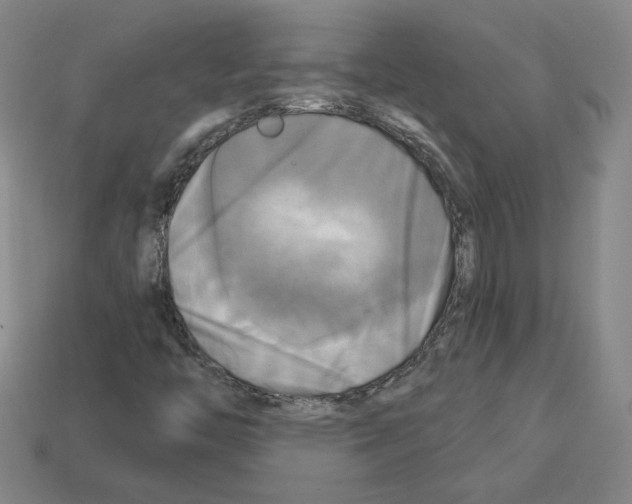 X0000113051446200910081222