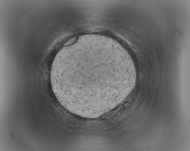 X0000113051447200910081222