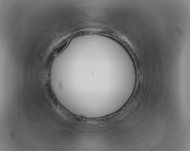 X0000113051448200910081222