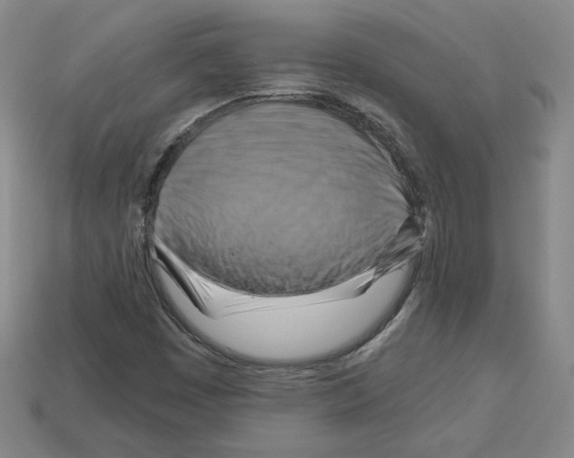 X0000113051449200910081221