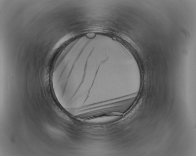 X0000113051450200910081221