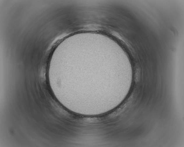 X0000113051451200910081221