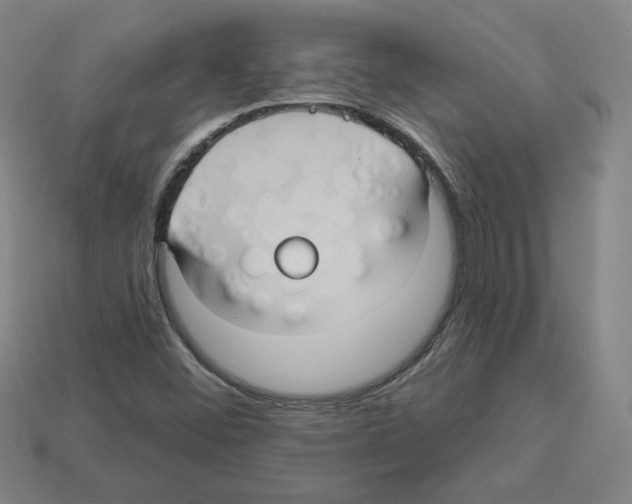X0000113051452200910081221