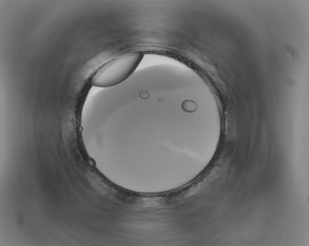 X0000113051453200910081221