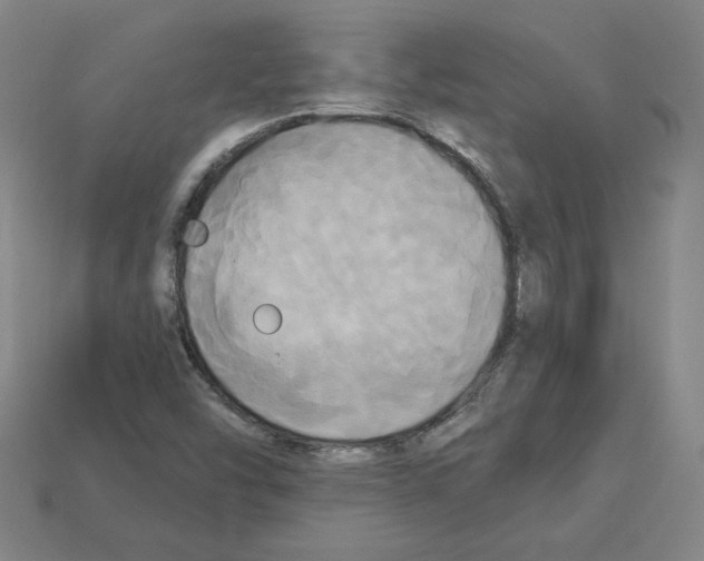 X0000113051454200910081221