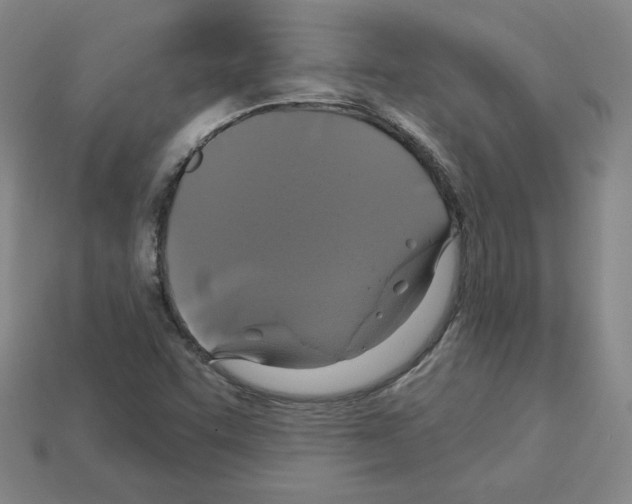 X0000113051455200910081221