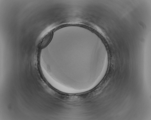 X0000113051456200910081221