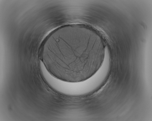 X0000113051457200910081221