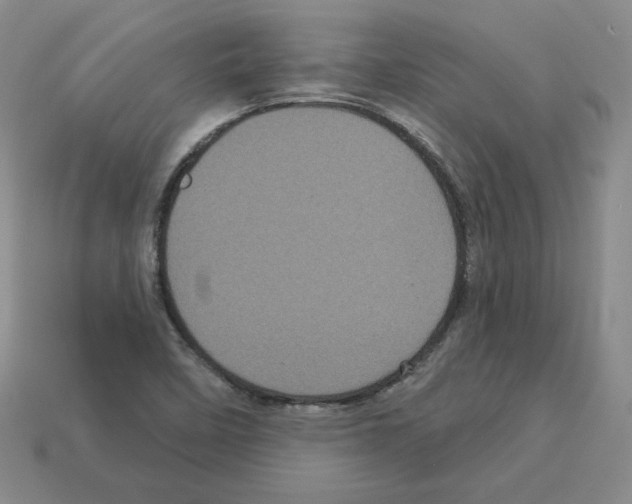 X0000113051458200910081221