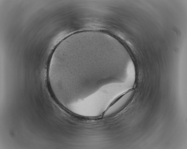 X0000113051459200910081221