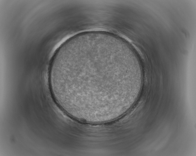 X0000113051460200910081221