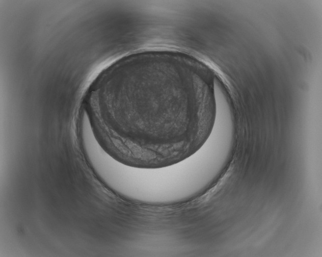 X0000113051461200910081221