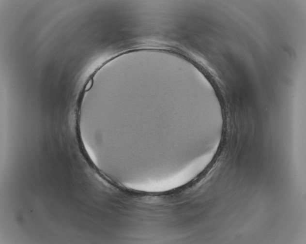 X0000113051463200910081221