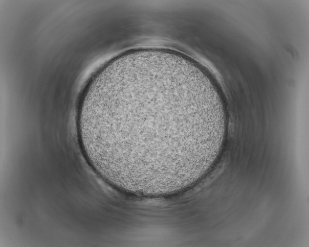 X0000113051464200910081221