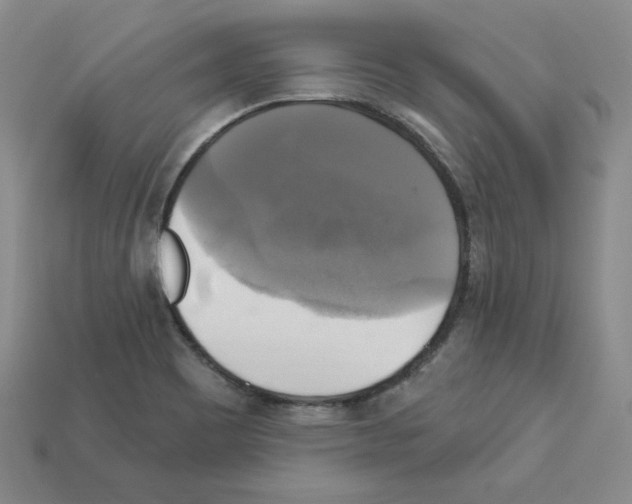X0000113051465200910081221
