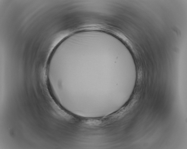 X0000113051466200910081221