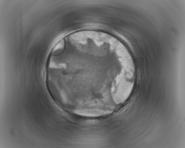 X0000113051467200910081221