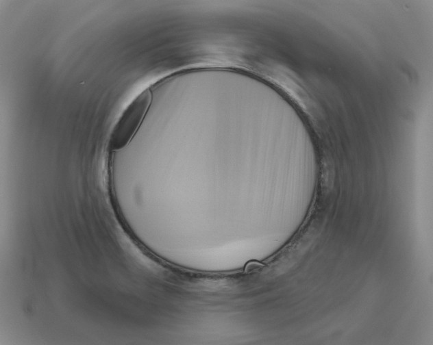 X0000113051468200910081221