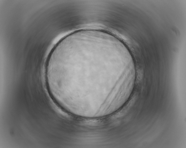 X0000113051470200910081221