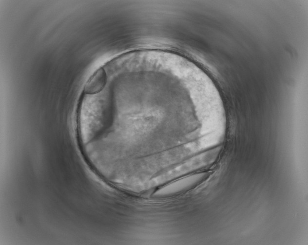 X0000113051471200910081221