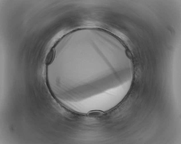 X0000113051472200910081221
