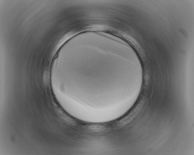 X0000113051473200910081221