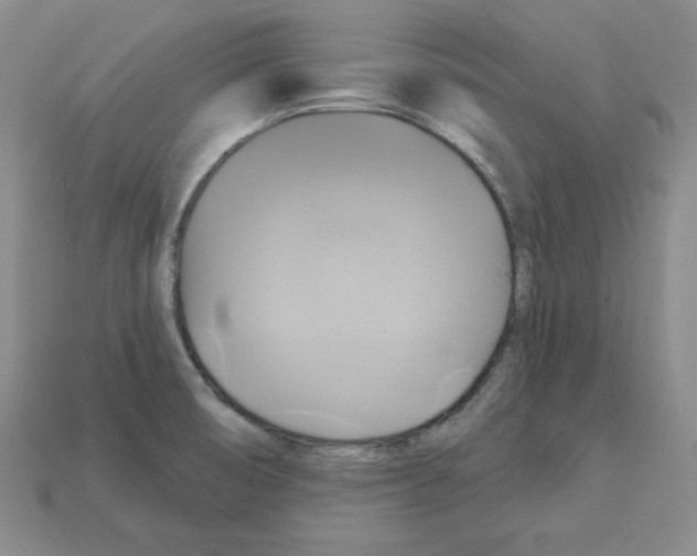 X0000113051474200910081221