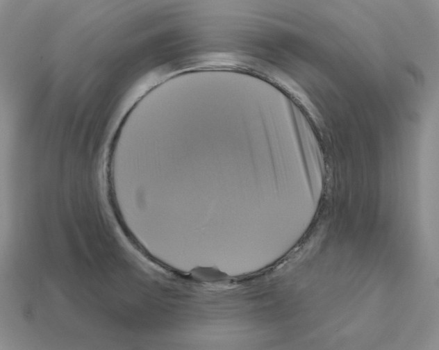 X0000113051475200910081221