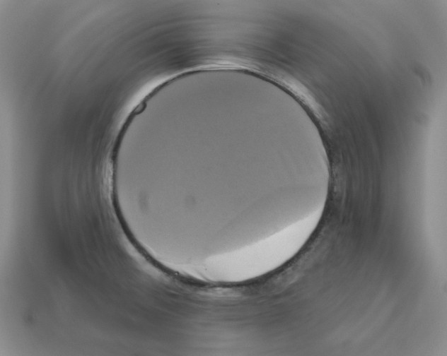 X0000113051476200910081221