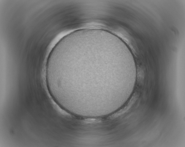 X0000113051478200910081221