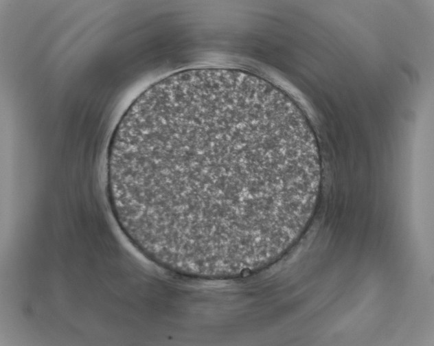 X0000113051479200910081221