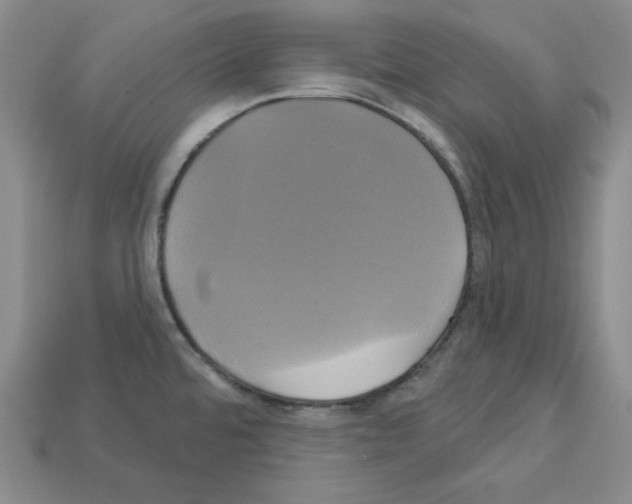 X0000113051480200910081221