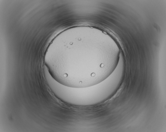 X0000113051481200910081221