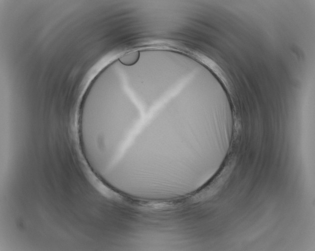X0000113051482200910081221