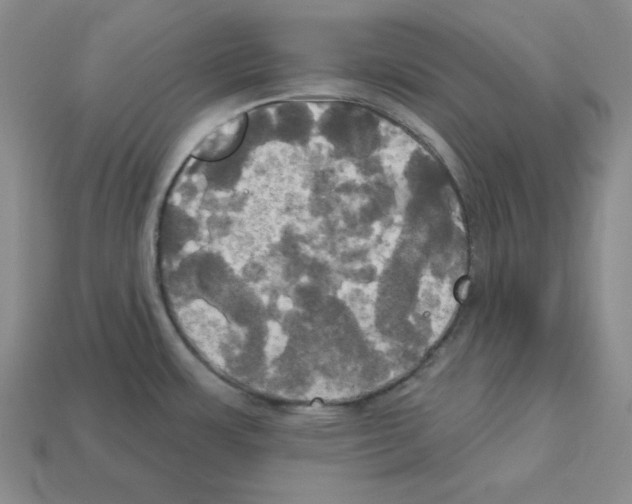 X0000113051483200910081221