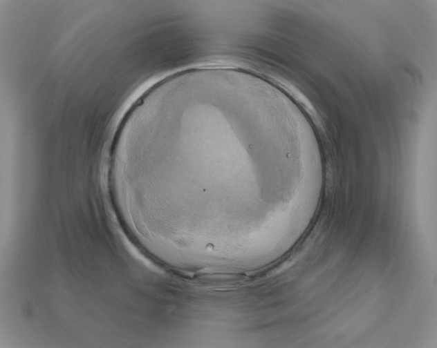 X0000113051484200910081221
