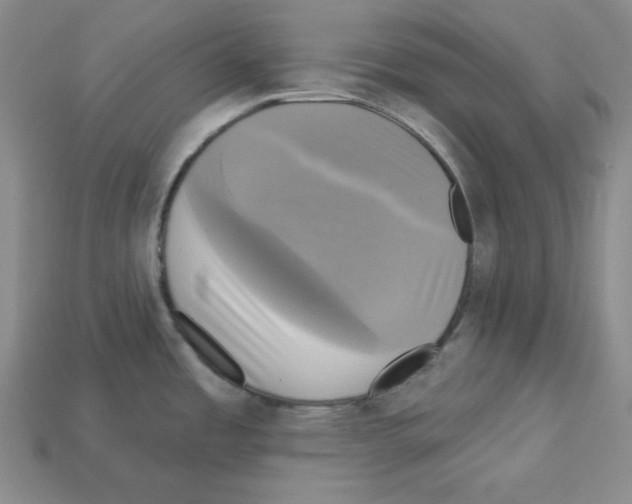 X0000113051485200910081221