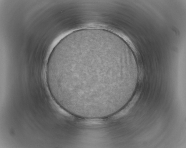 X0000113051486200910081221